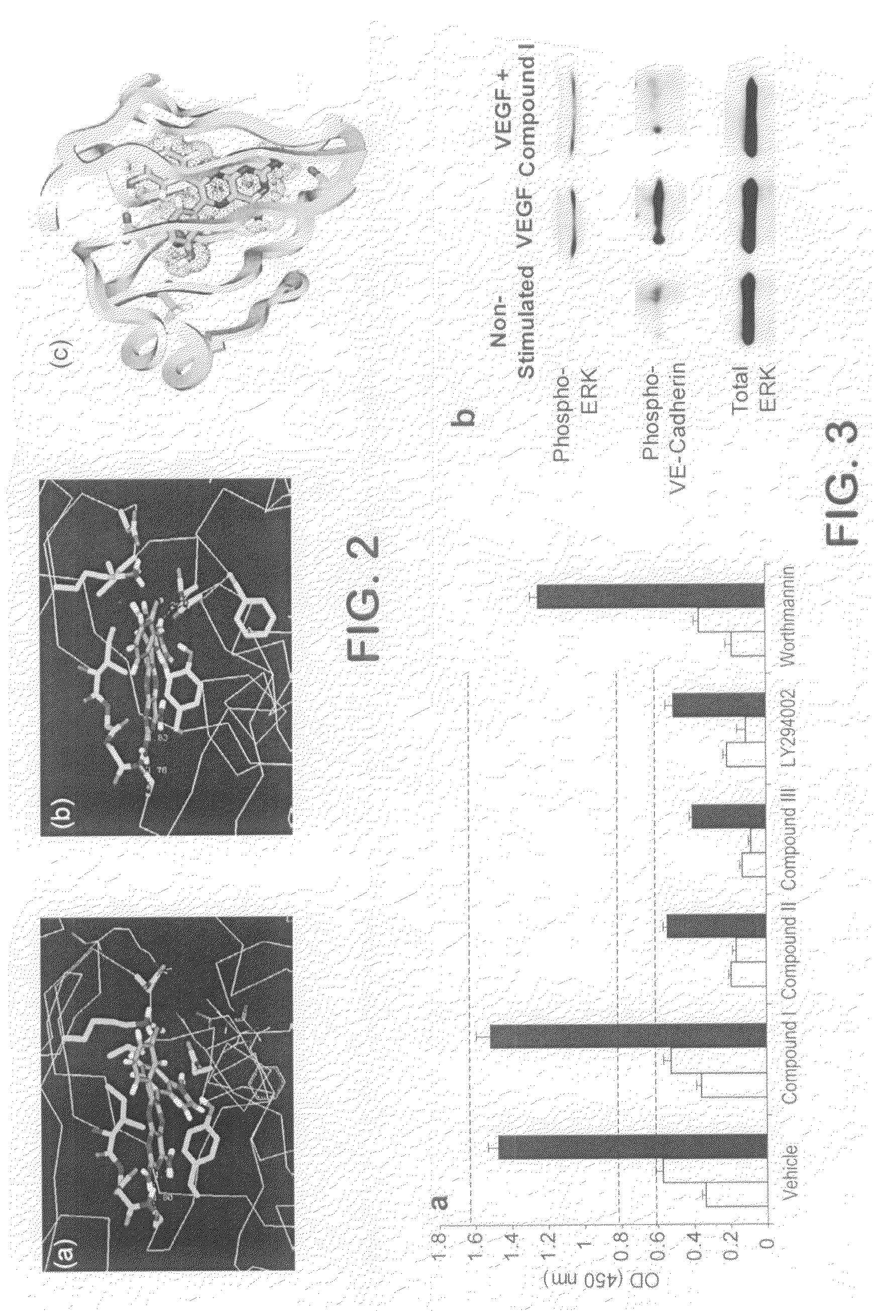Kinase inhibitors and methods of use thereof