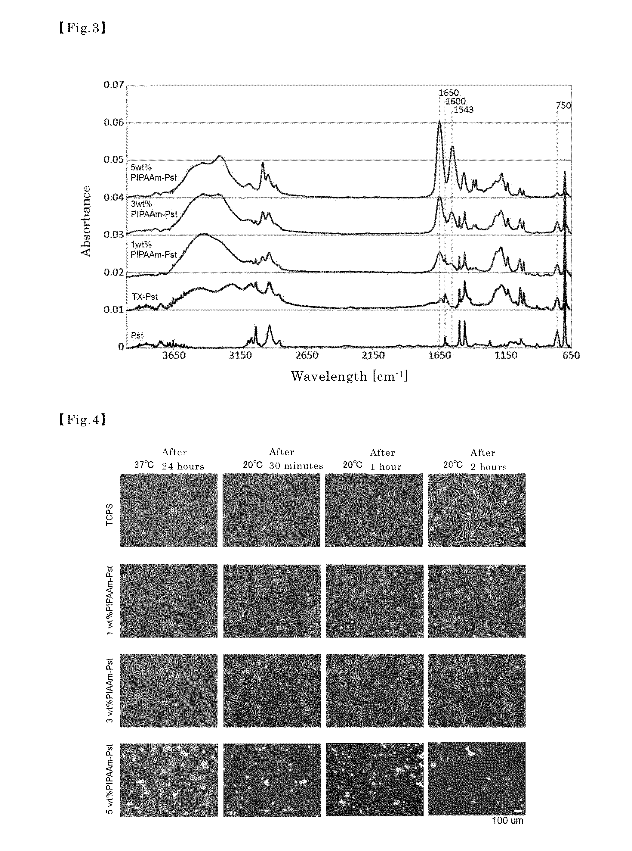 Cell culture substrate, and method for manufacturing same