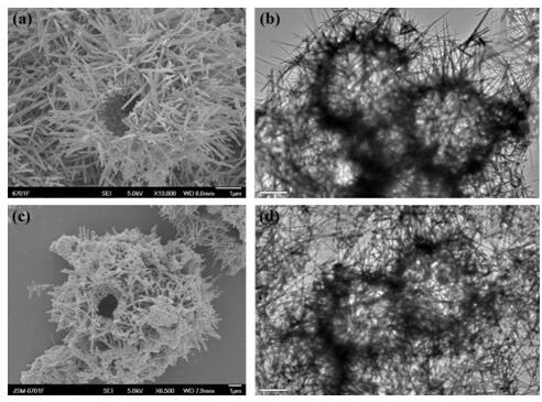 Preparation and application of dopamine-coated urchin-shaped manganese dioxide hollow microspheres