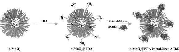 Preparation and application of dopamine-coated urchin-shaped manganese dioxide hollow microspheres