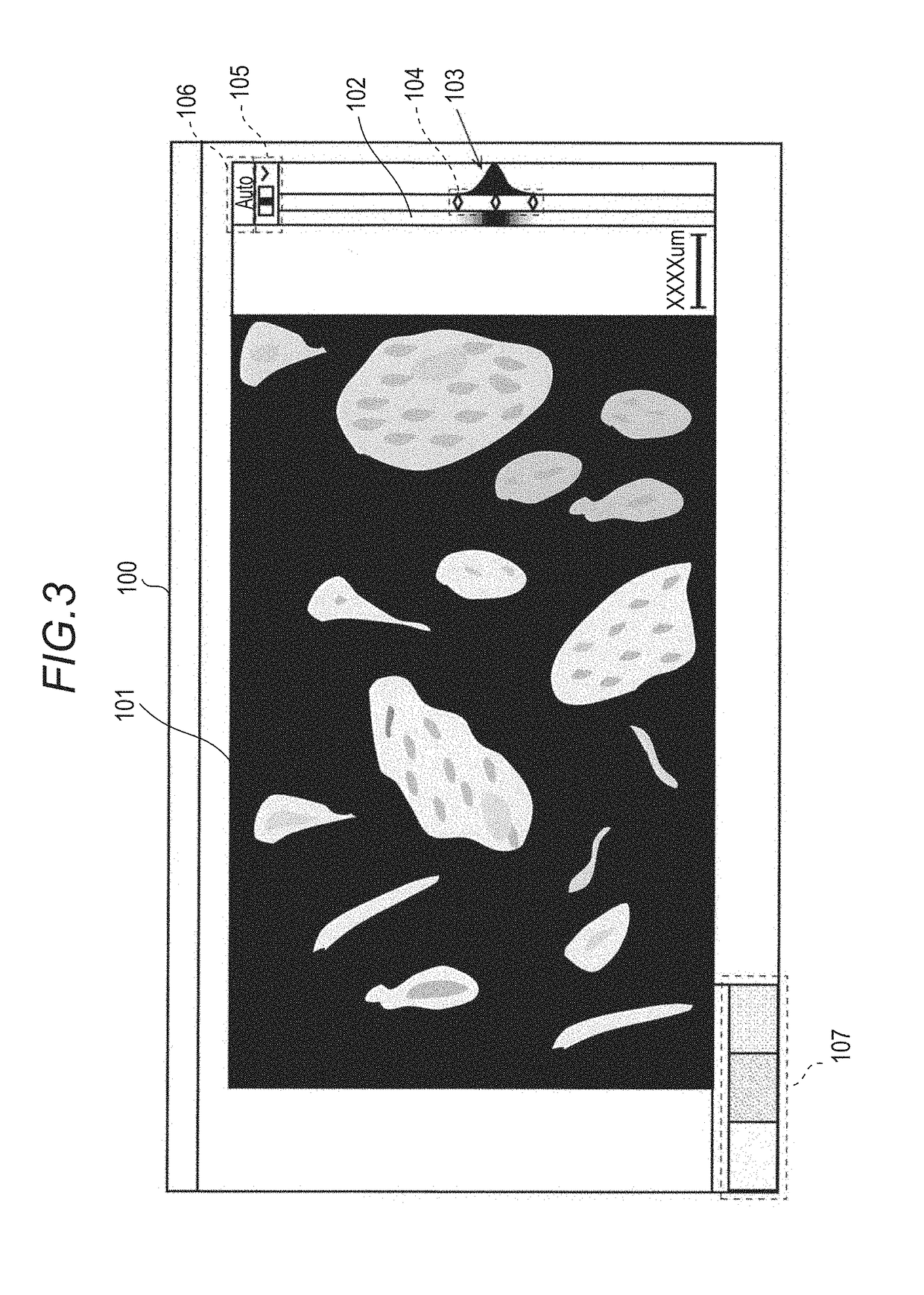 Cell observation apparatus