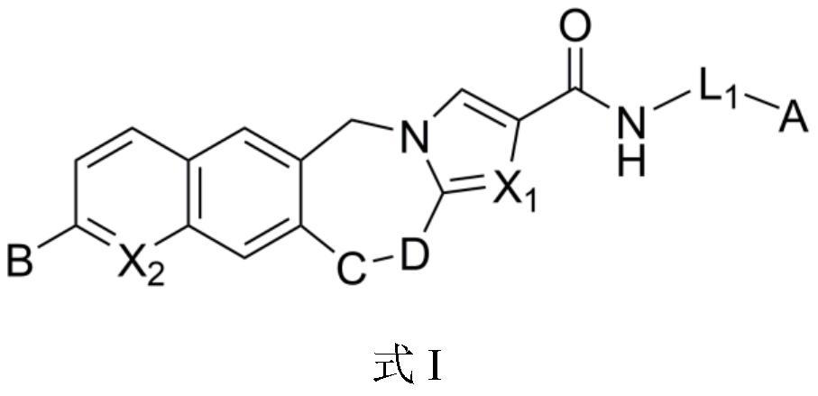 Tetracyclic compound as plasma kallikrein inhibitor and application thereof