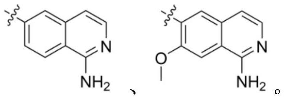Tetracyclic compound as plasma kallikrein inhibitor and application thereof