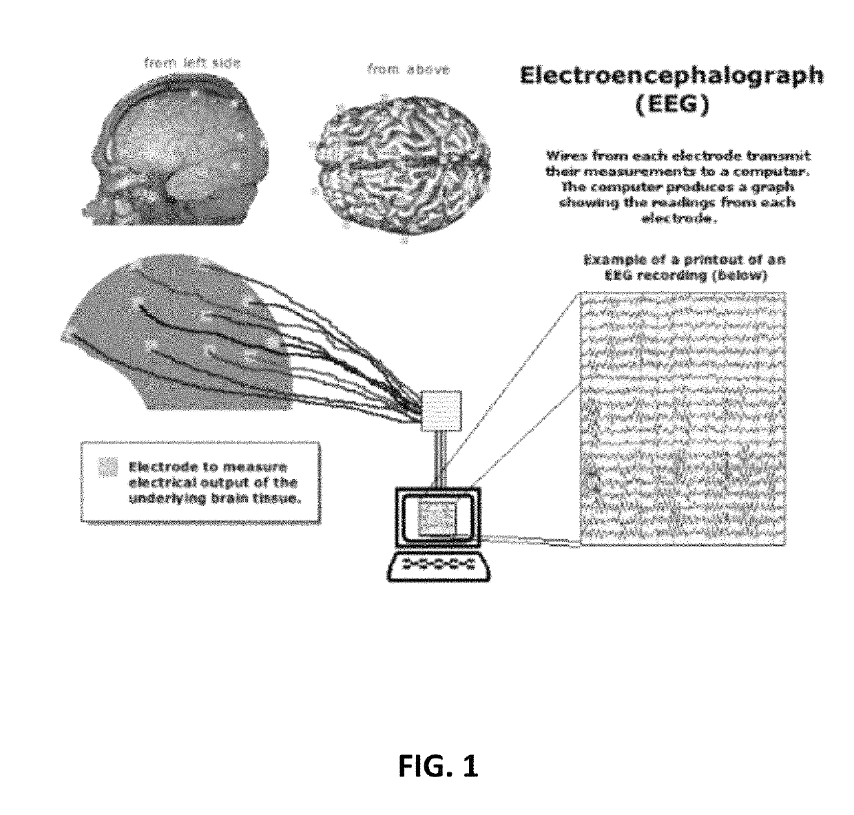System and method for person identification and personality assessment based on EEG signal