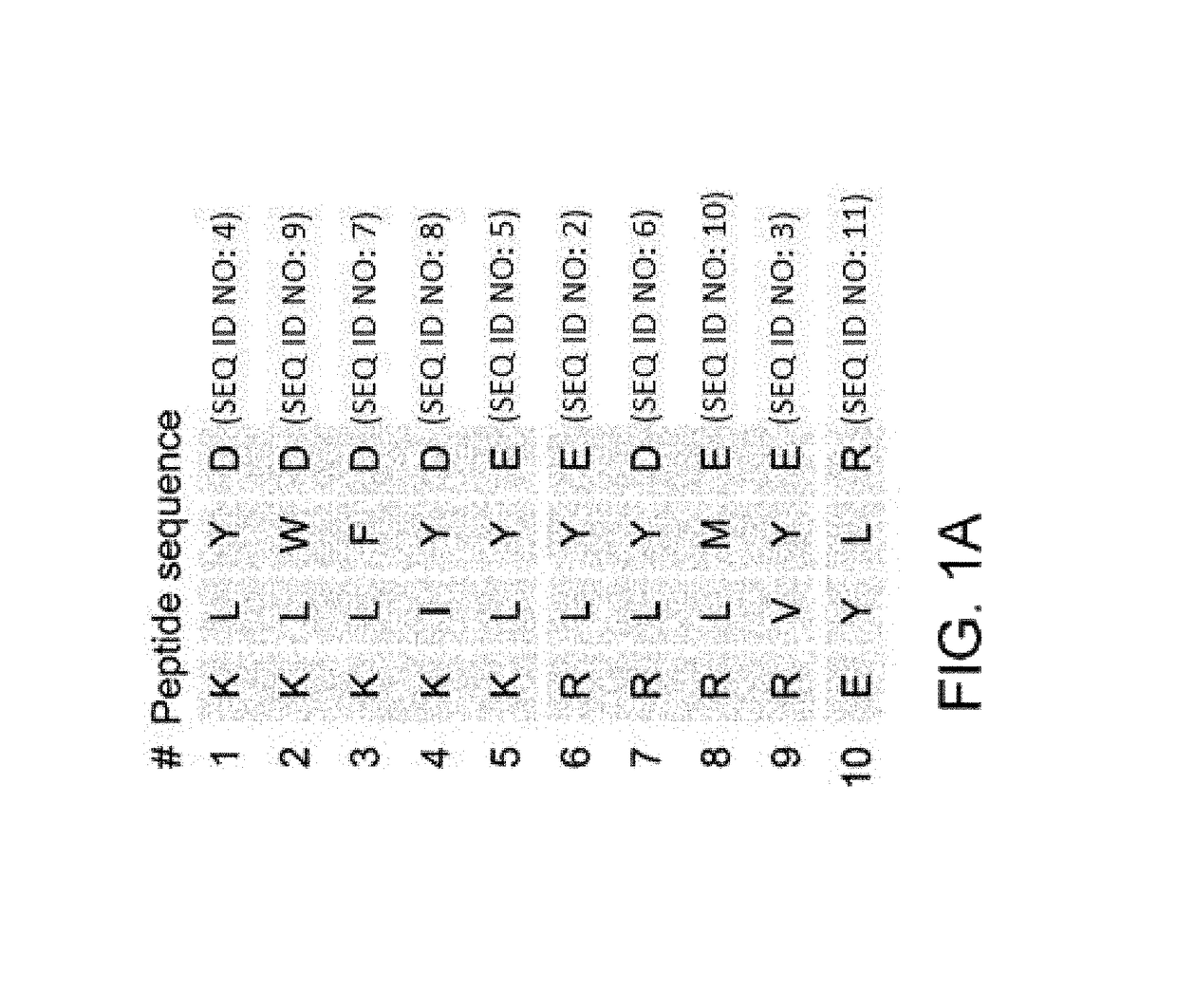 Tetrapeptide having effect of inhibiting VEGF-induced angiogenesis and use thereof