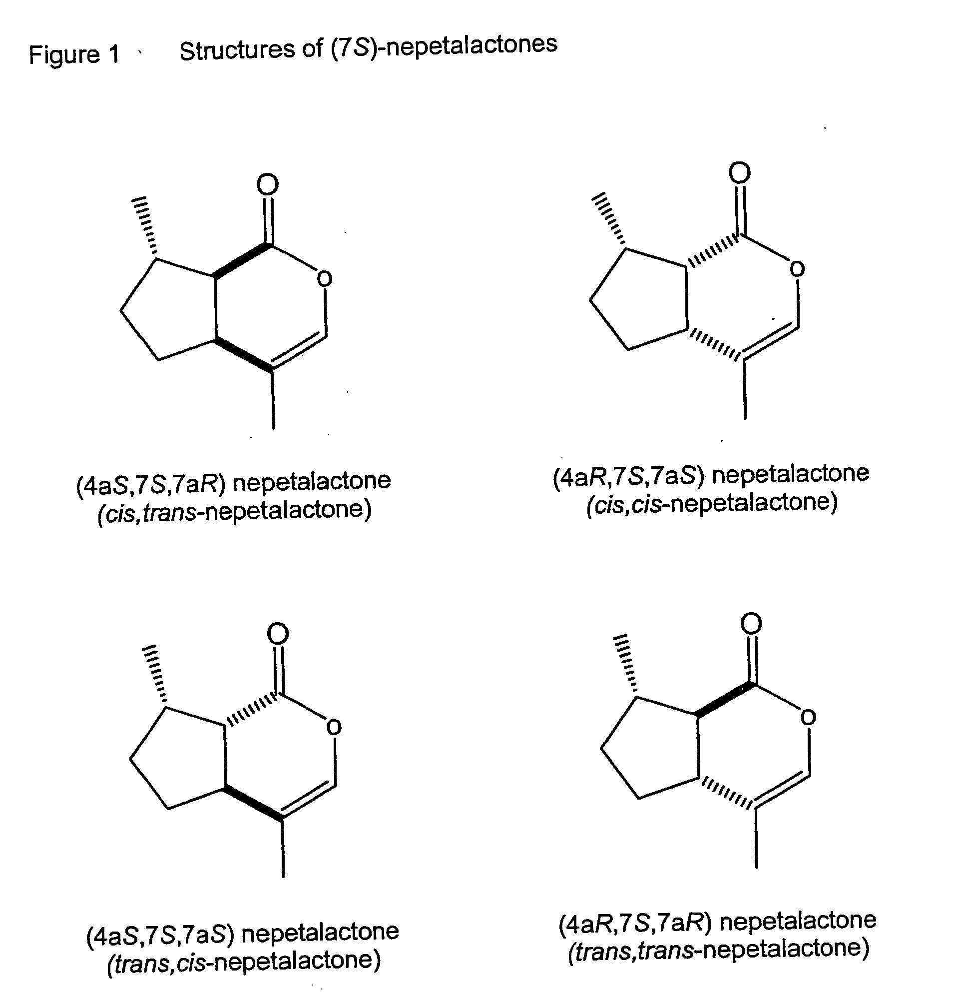 Method for making insect repellent composition
