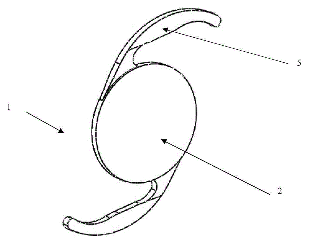 posterior chamber intraocular lens