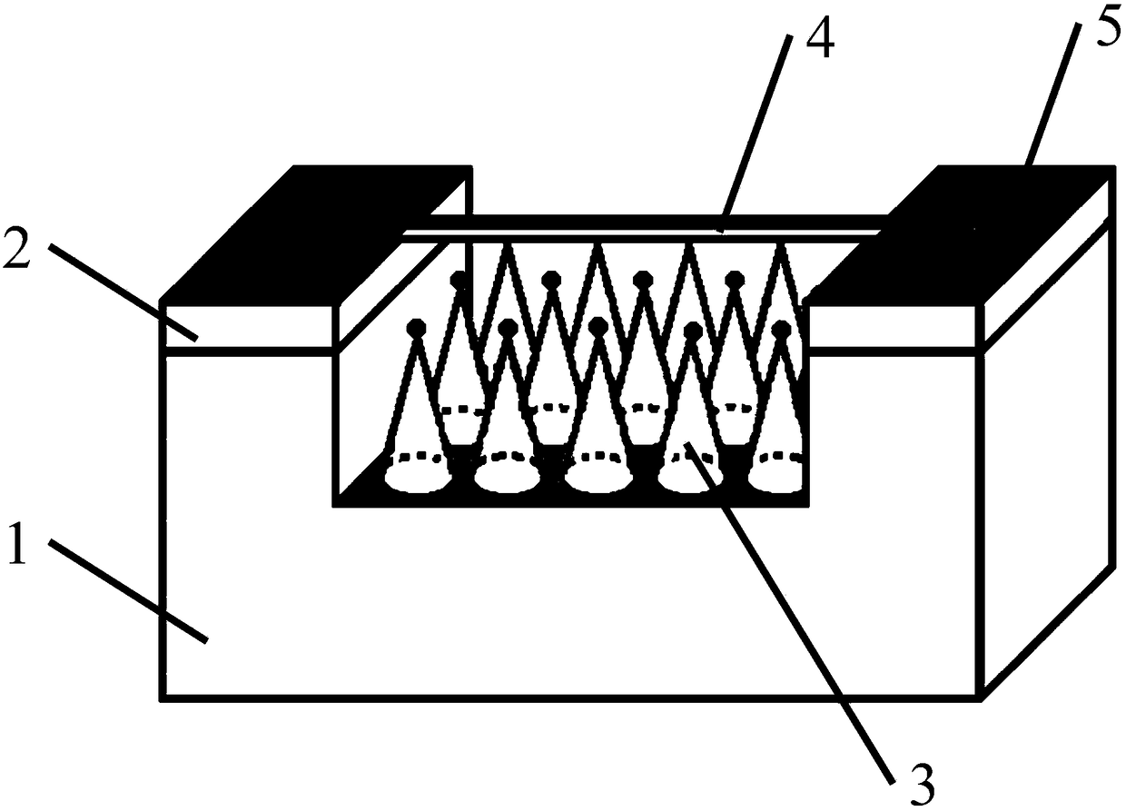 Plasma gas sensor and manufacturing method thereof