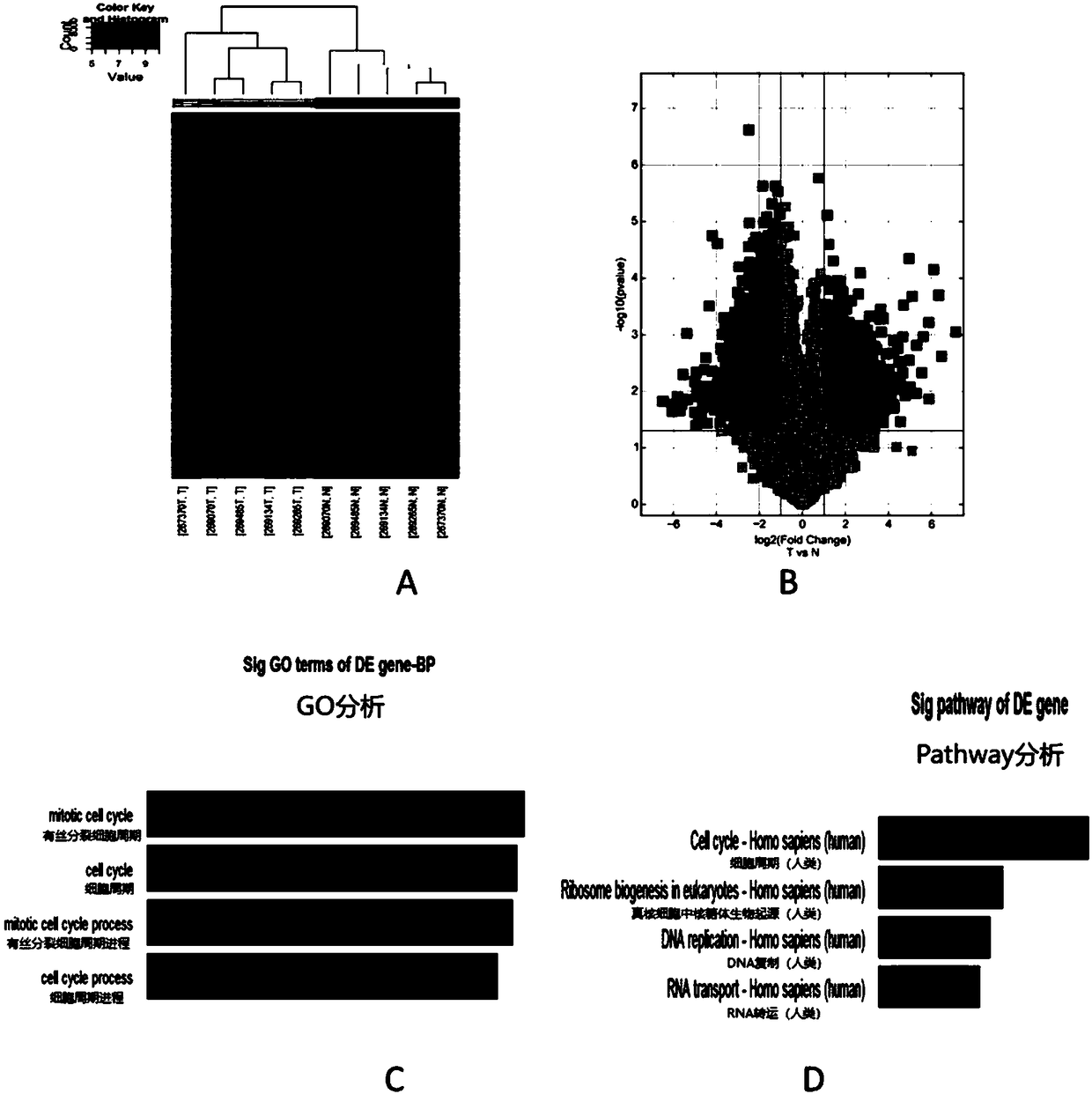 Application of circ-0000423 to preparation or screening of colon cancer drugs