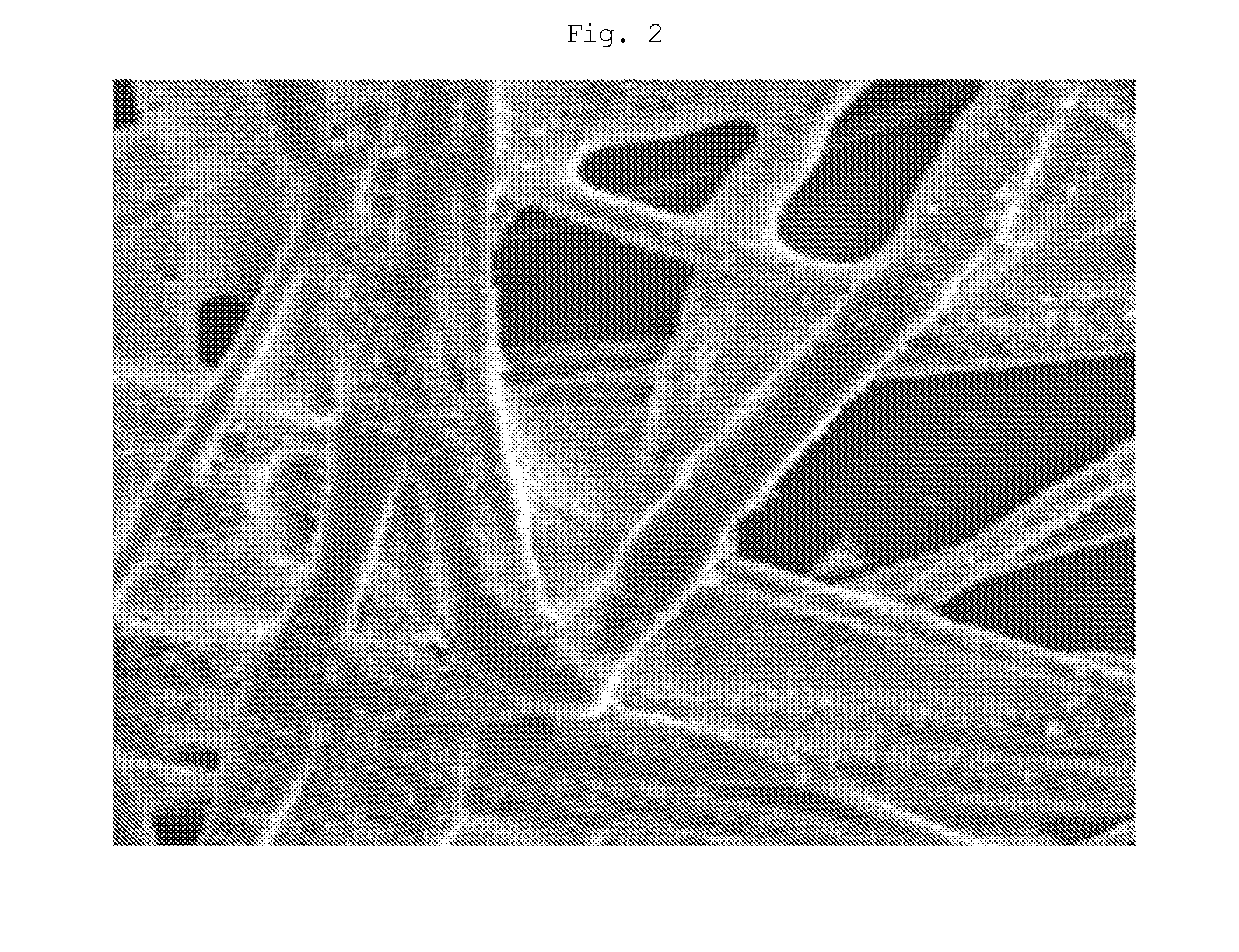 Ceramic porous substrate, reinforced composite electrolyte membrane using the same and membrane-electrode assembly having the same