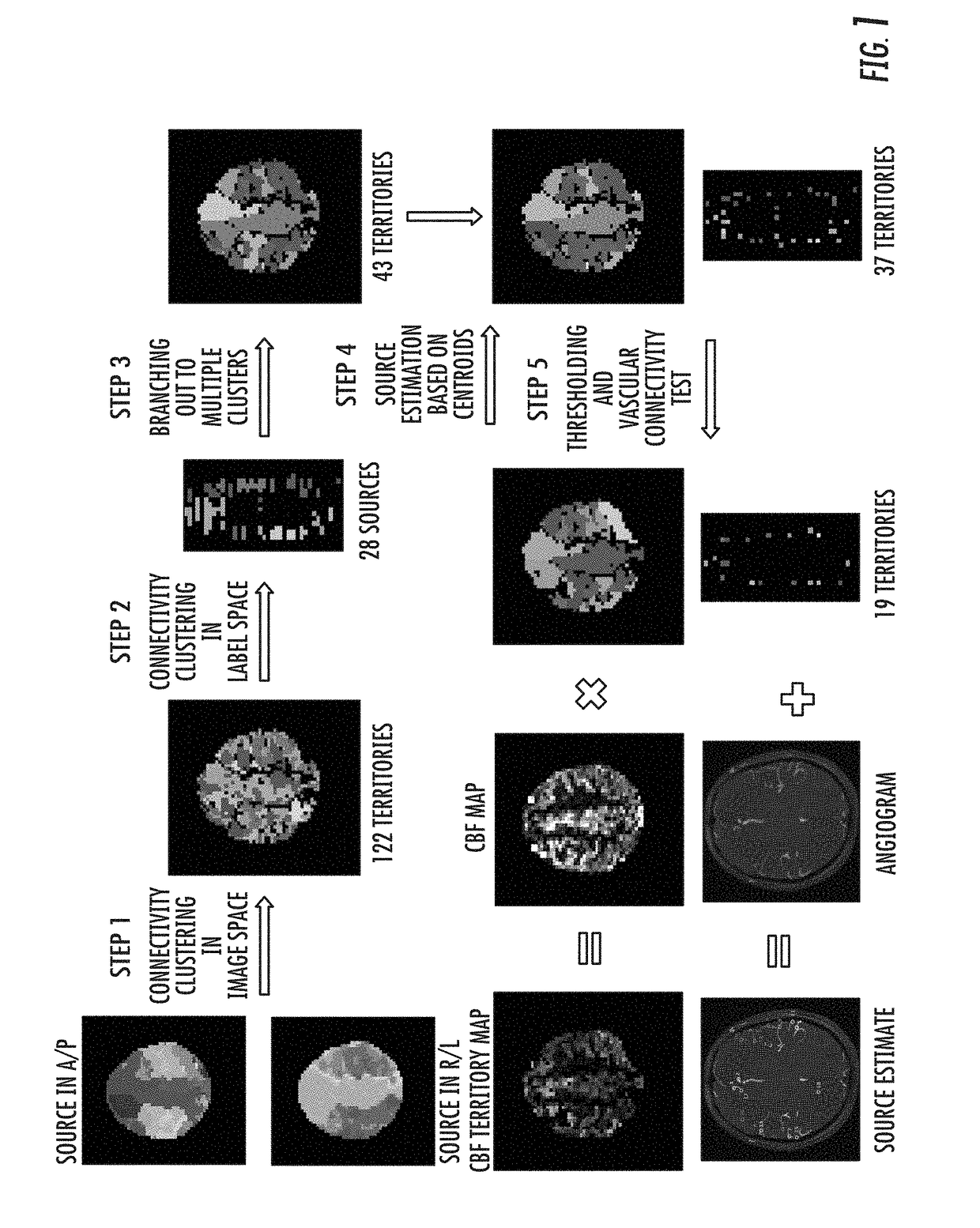 Vascular territory segmentation using mutual clustering information from image space and label space