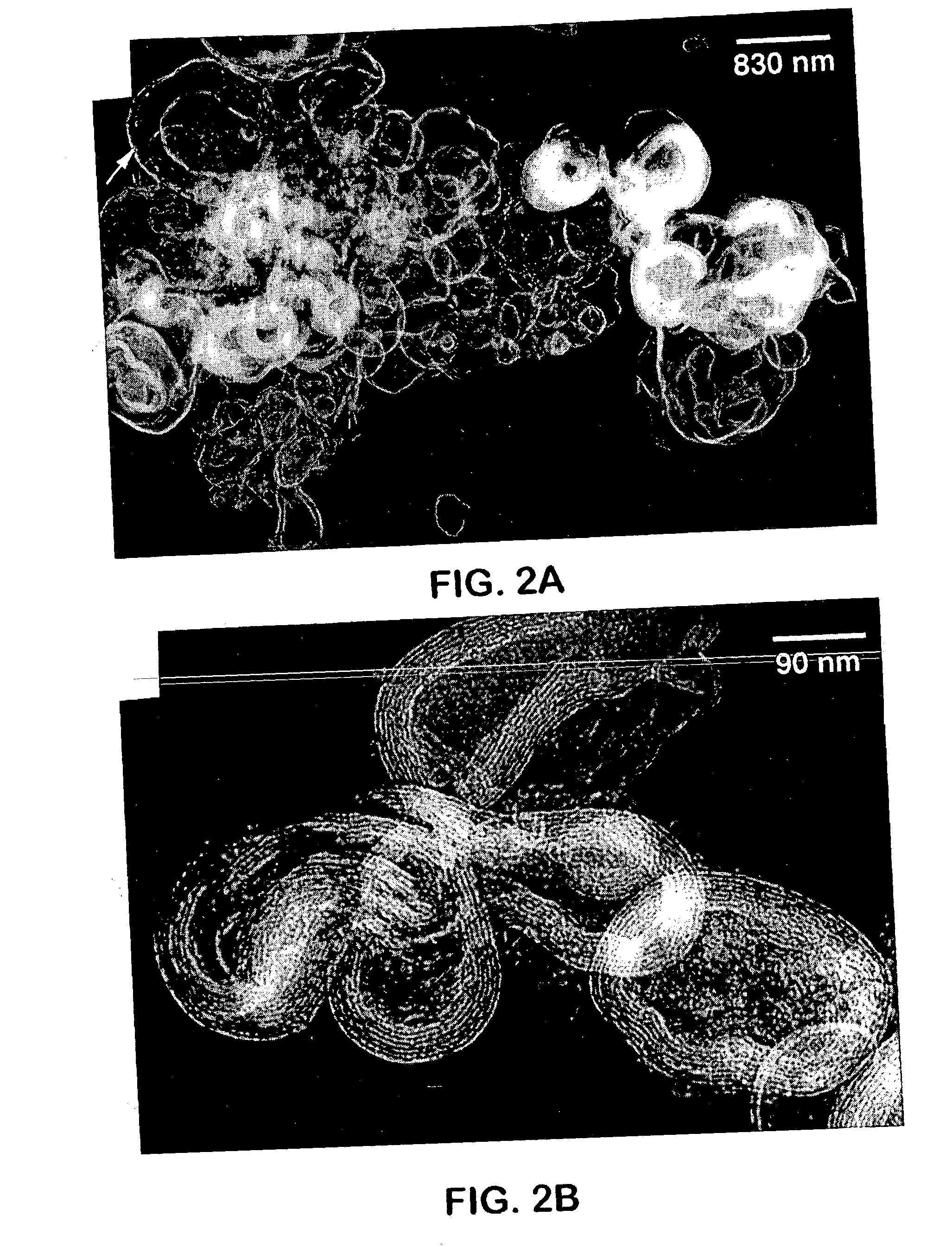Ultra-stable lamellar mesoporous silica compositions and process for the preparation thereof