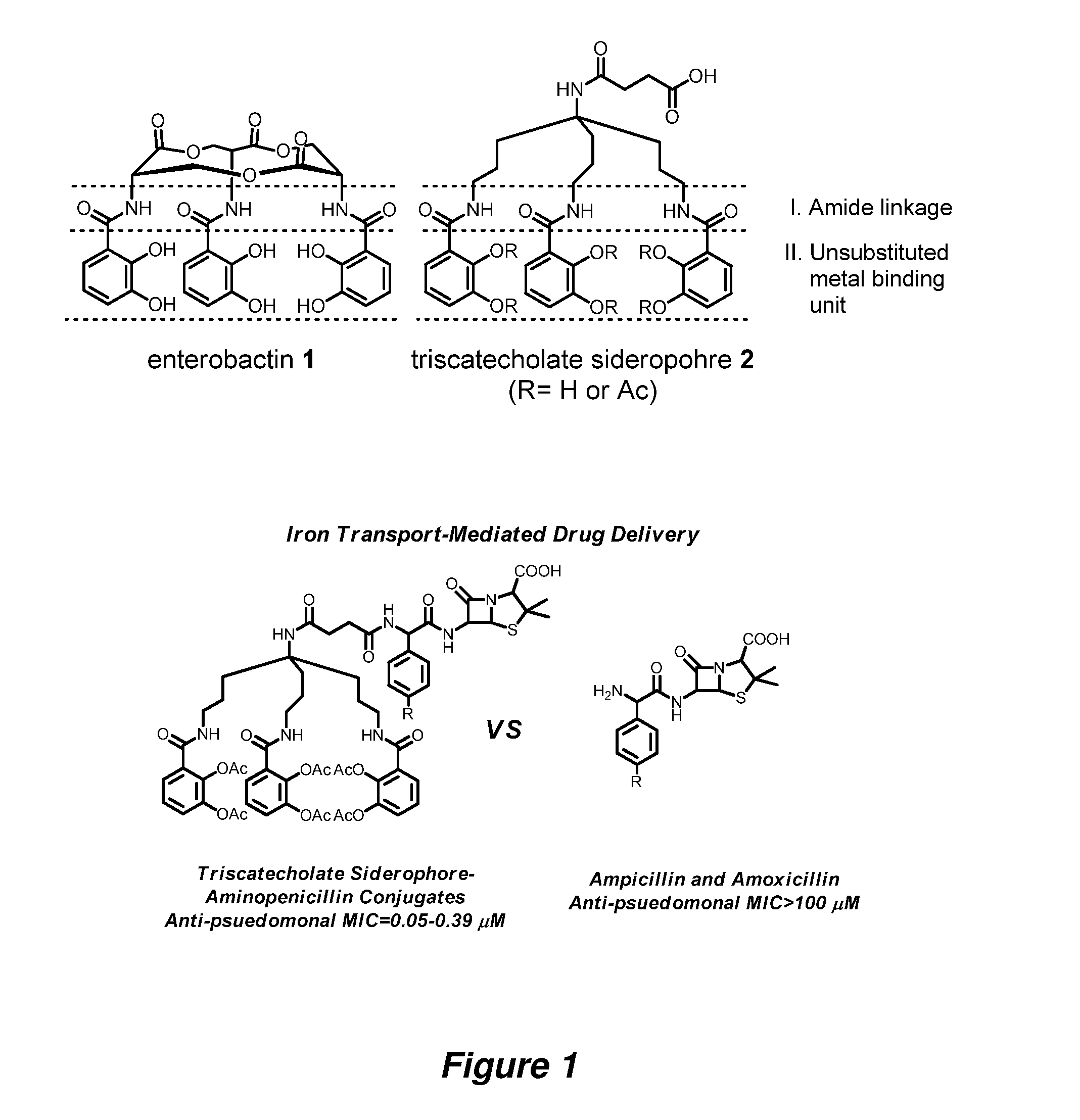 Anti-bacterial siderophore-aminopenicillin conjugates