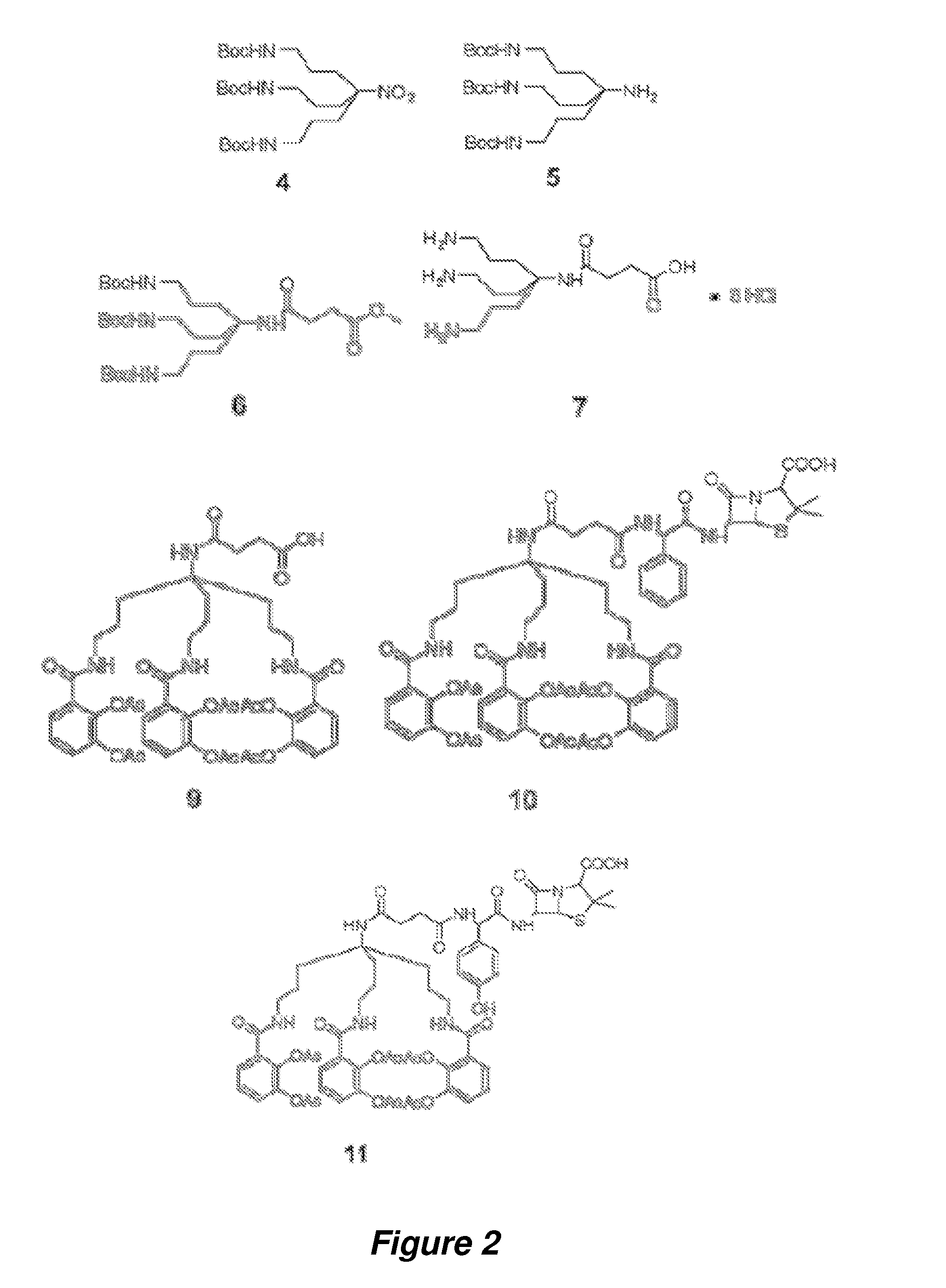 Anti-bacterial siderophore-aminopenicillin conjugates