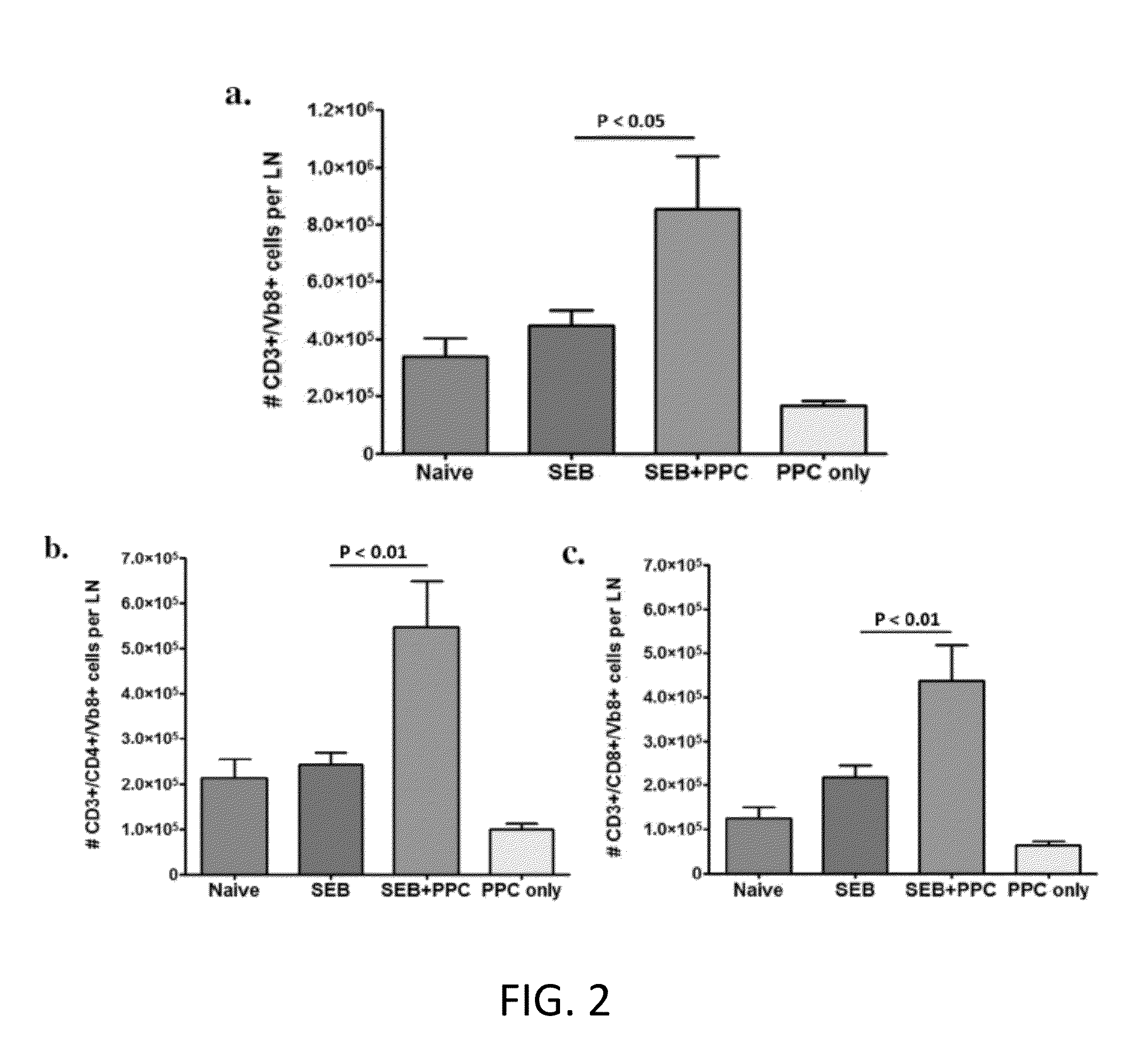 Method of enhancing the proliferative phase of a primary T cell response