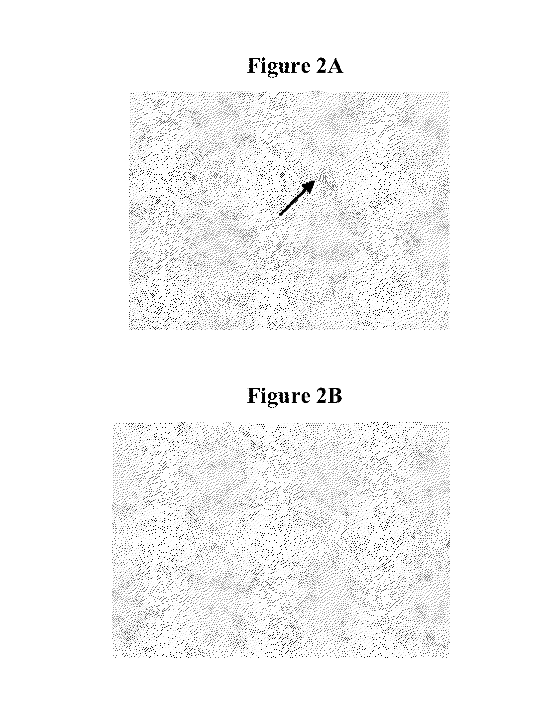 Methods for inhibiting the binding of endosialin to ligands