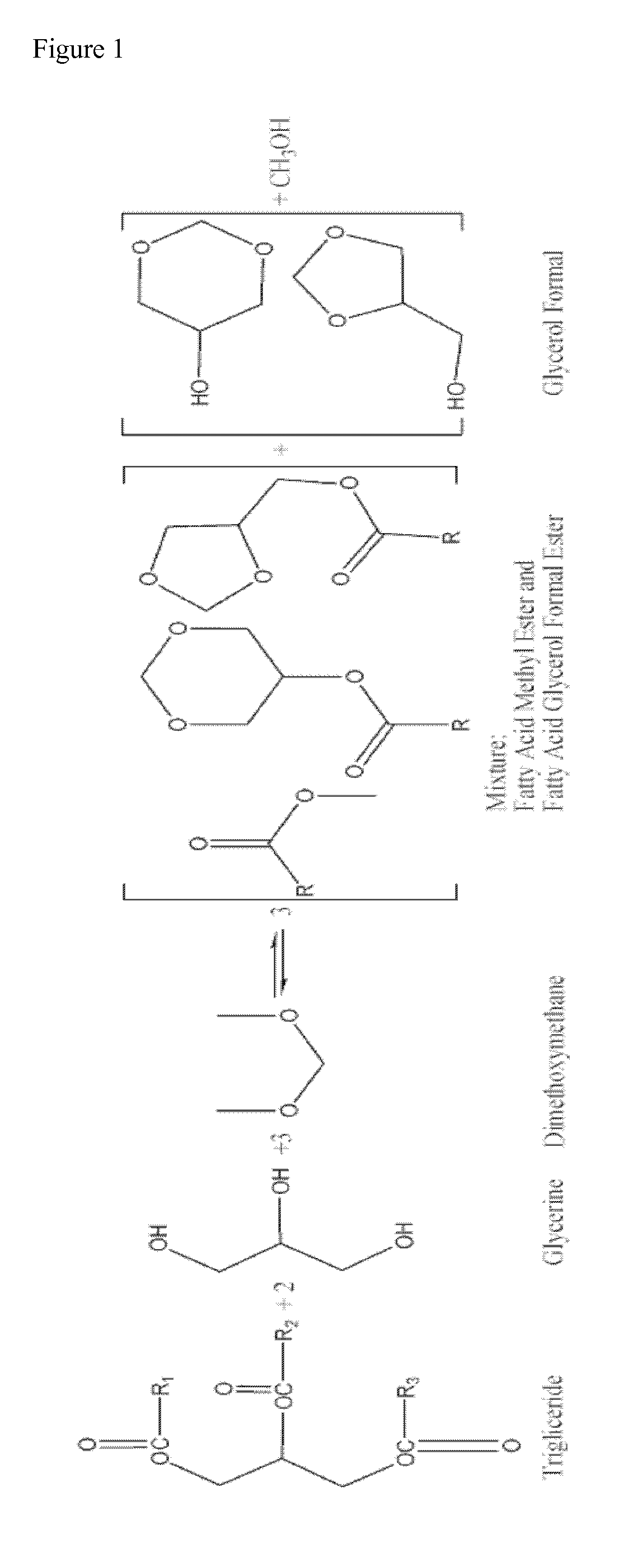 Process for manufacturing biofuels