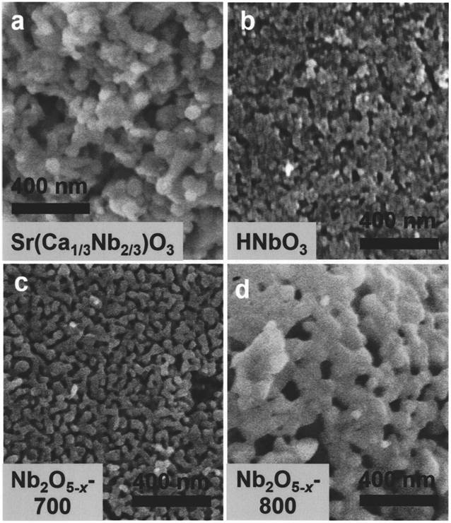 Metal oxide energy storage material with special microstructure and preparation method