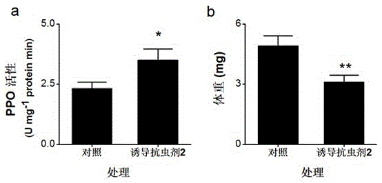 Inducible insect-resistant agent for preventing inchworm pests of tea trees