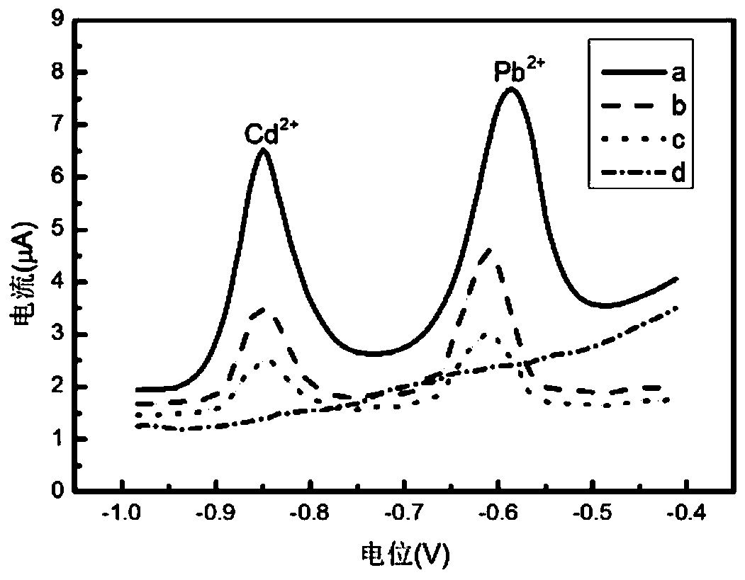 Pediatric heavy metal ion detection preparation and detection method