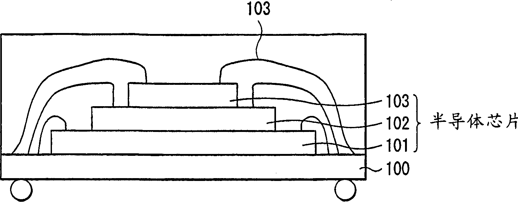 Semiconductor chip mounting body and manufacturing method thereof