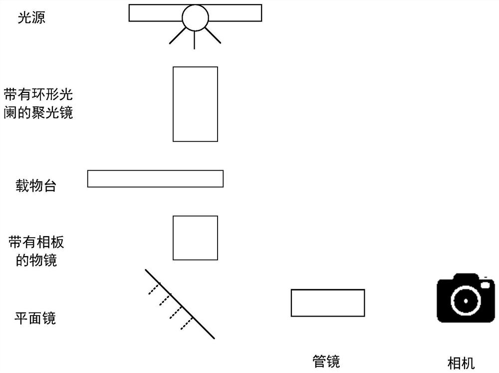 Phase difference microscopic imaging method and device, electronic equipment and storage medium