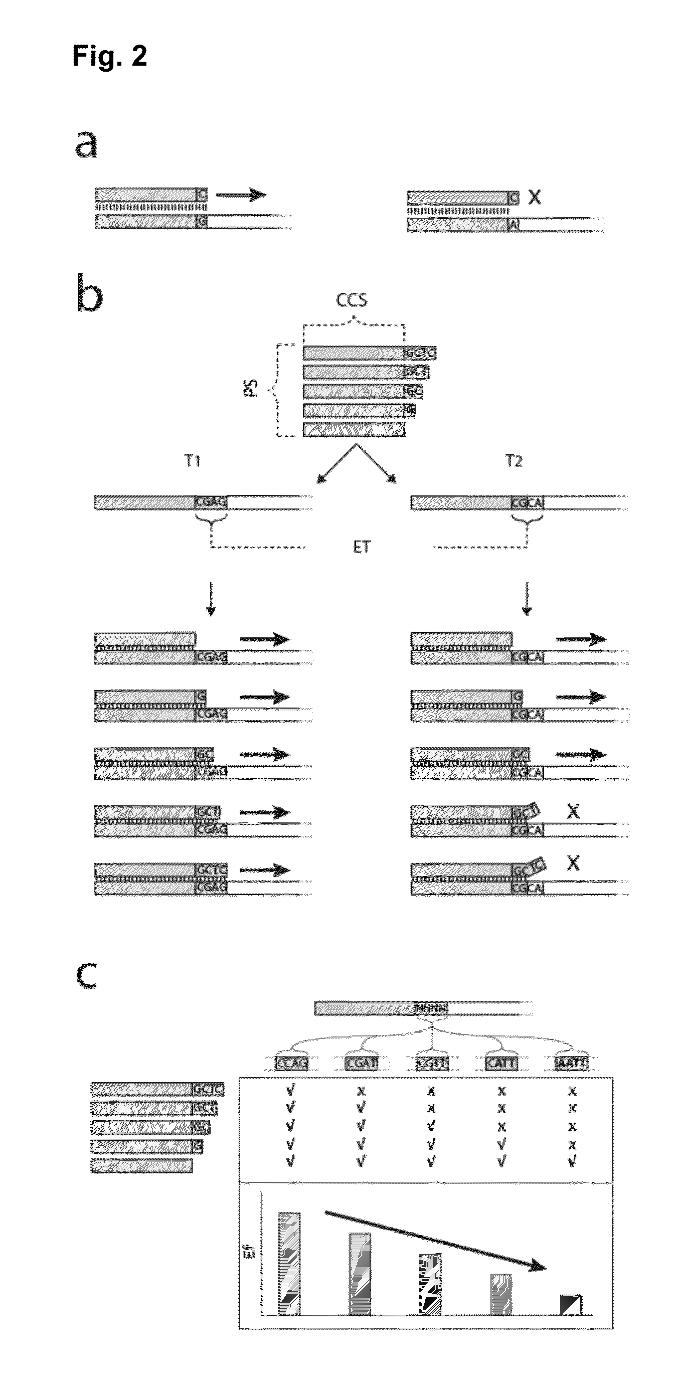 Method for the simultaneous amplification of a plurality of different nucleic acid target sequences