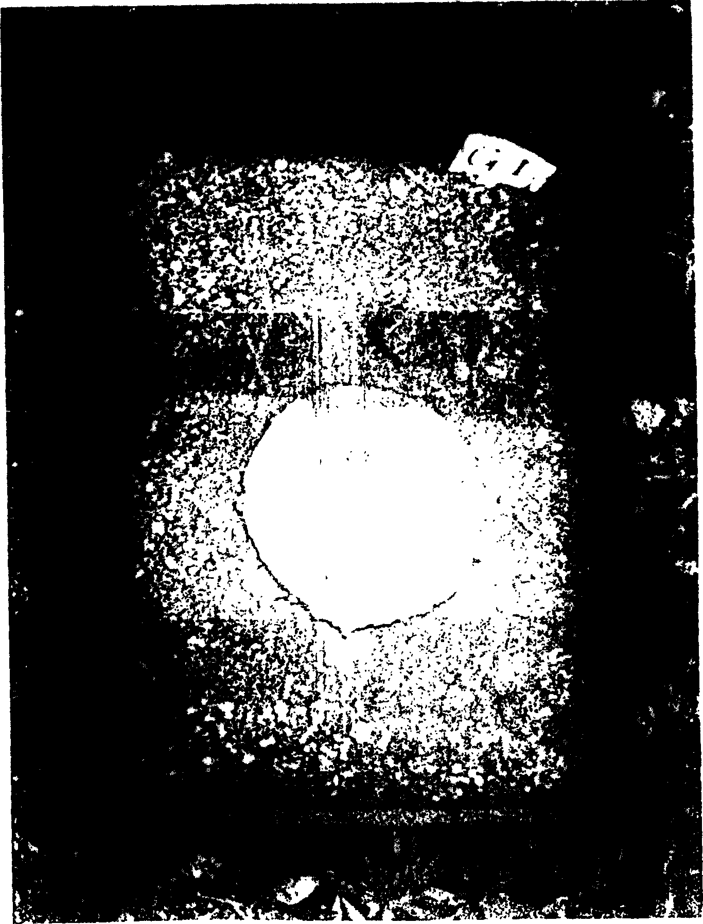 Biodegradation formation article and its mfg. method