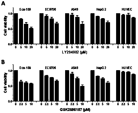 Pharmaceutical composition containing pi3k inhibitor and perk inhibitor and application thereof