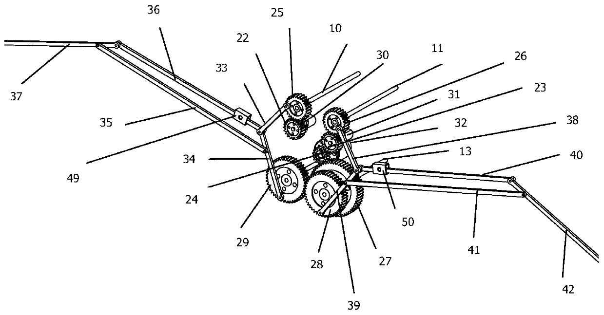 Bionic flapping wing aircraft with adjustable flapping amplitude angle