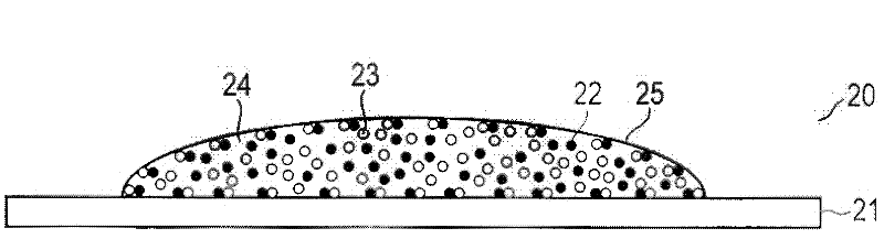 Biological cell therapeutic apparatus