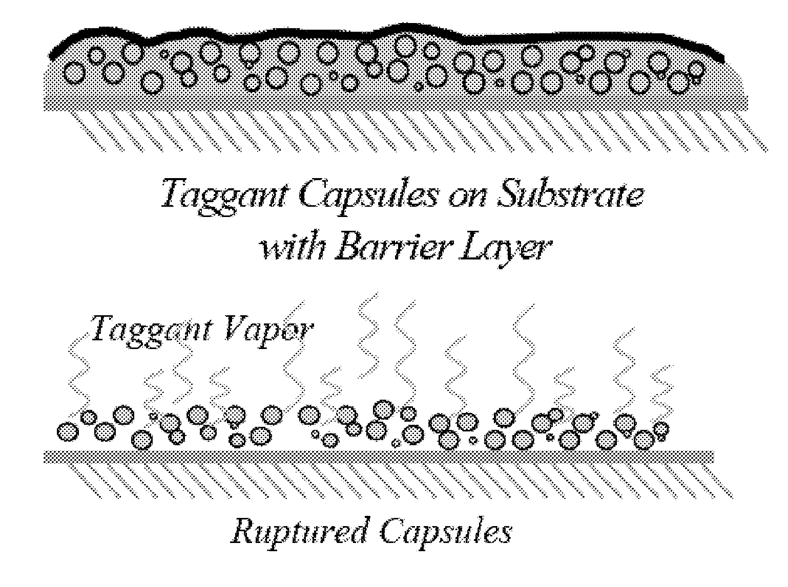 Methods of delivery of encapsulated perfluorocarbon taggants