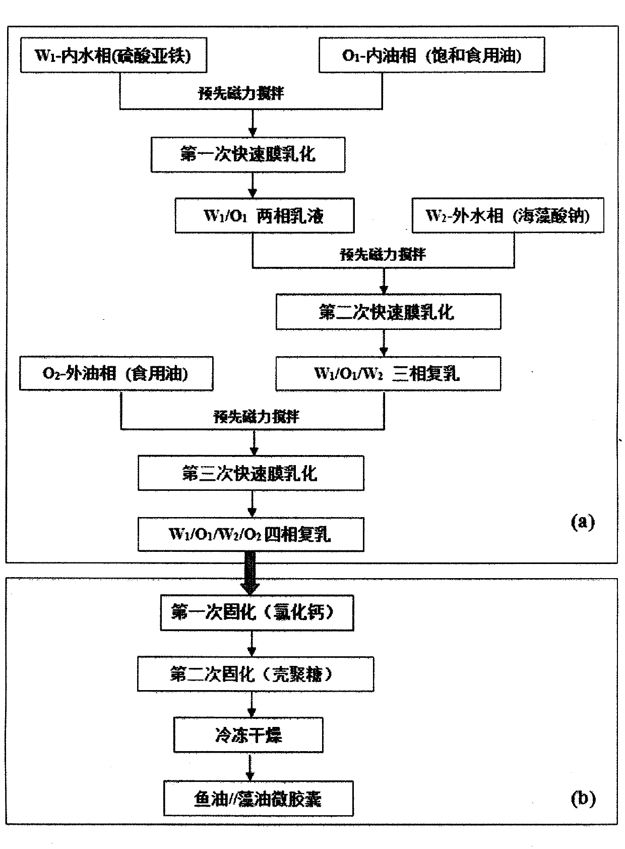 A microencapsulated product of nano-scale ferrous sulfate nutritional supplement and its preparation process