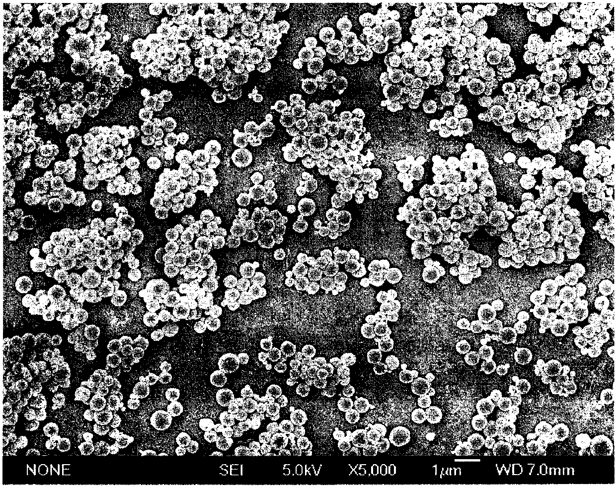 A microencapsulated product of nano-scale ferrous sulfate nutritional supplement and its preparation process