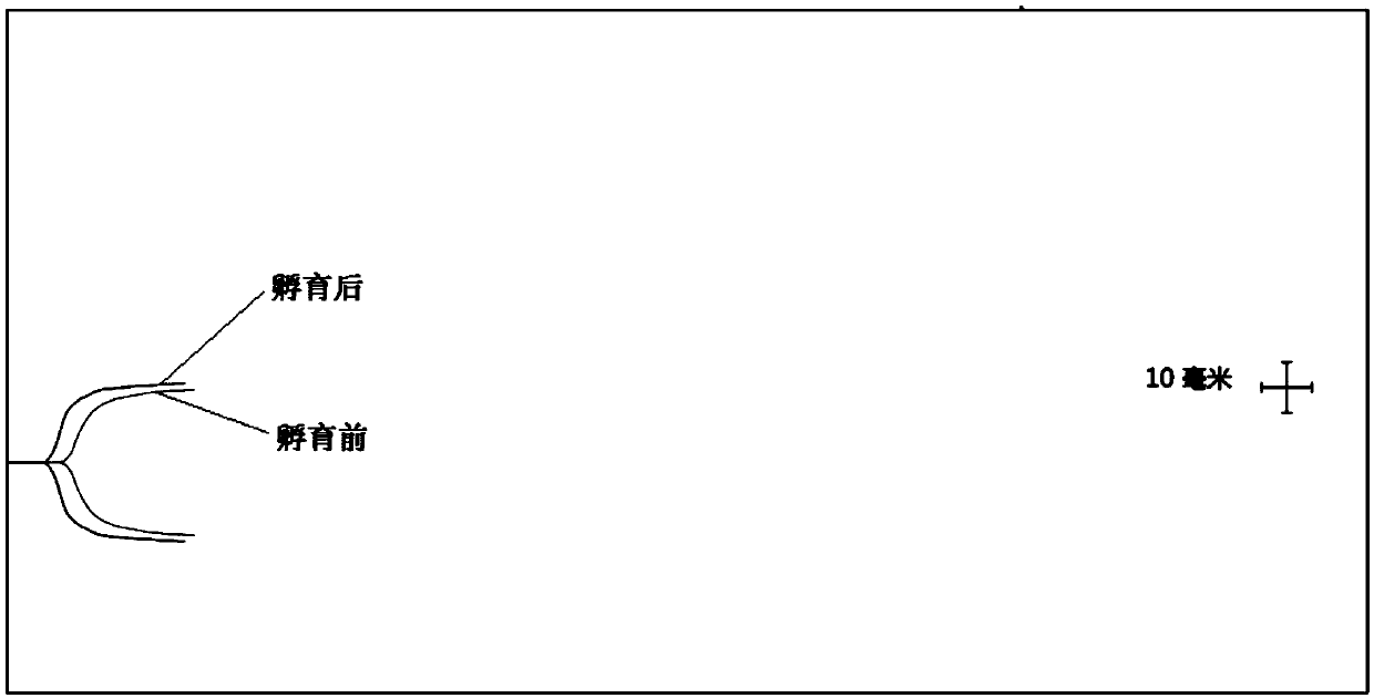 Kaolin reagent quality control product and preparation method and application thereof