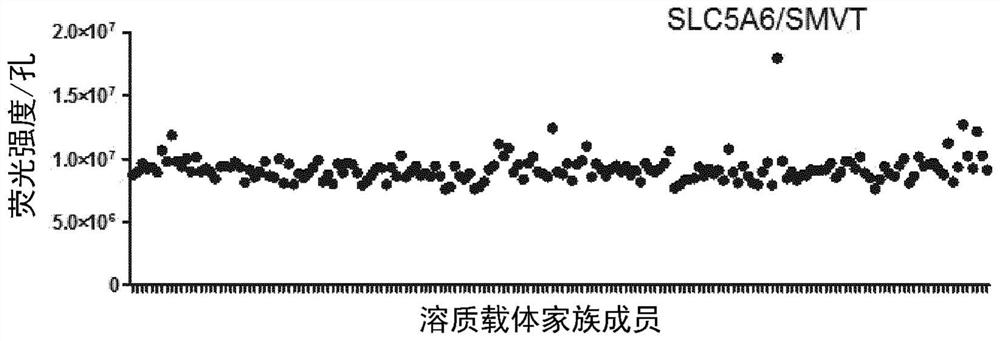 Use of ligands derived from receptor-binding domain of porcine endogenous retrovirus type b for diagnosing SMVT-related diseases