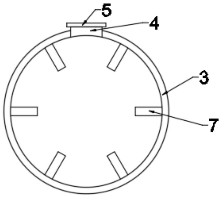 Seed drying device for fruit and vegetable planting