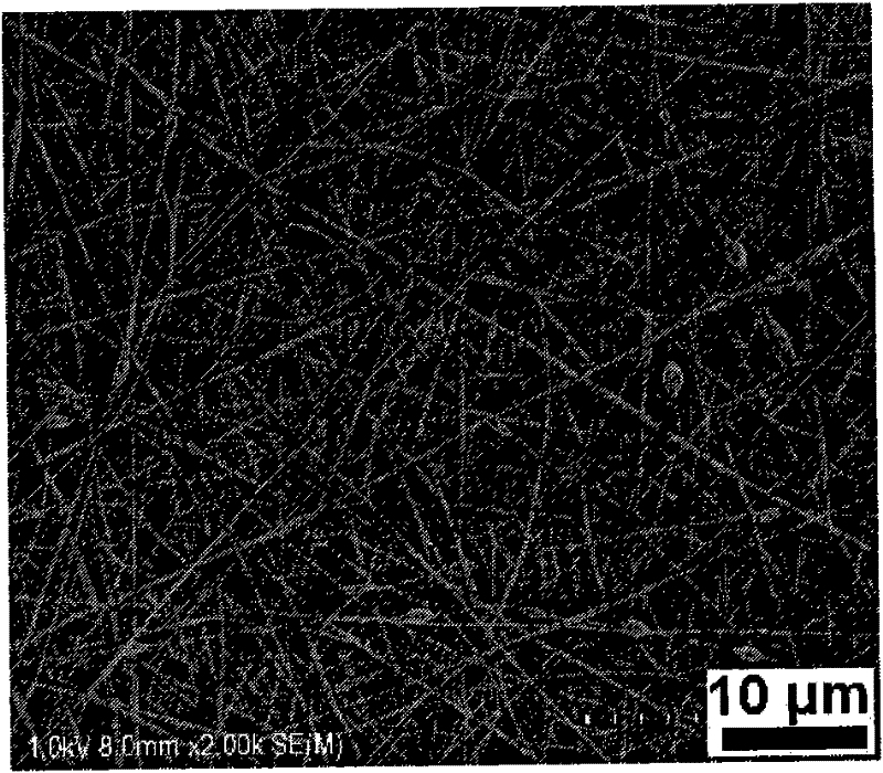 Method for preparing electrostatic spinning immobilized laccase electrode