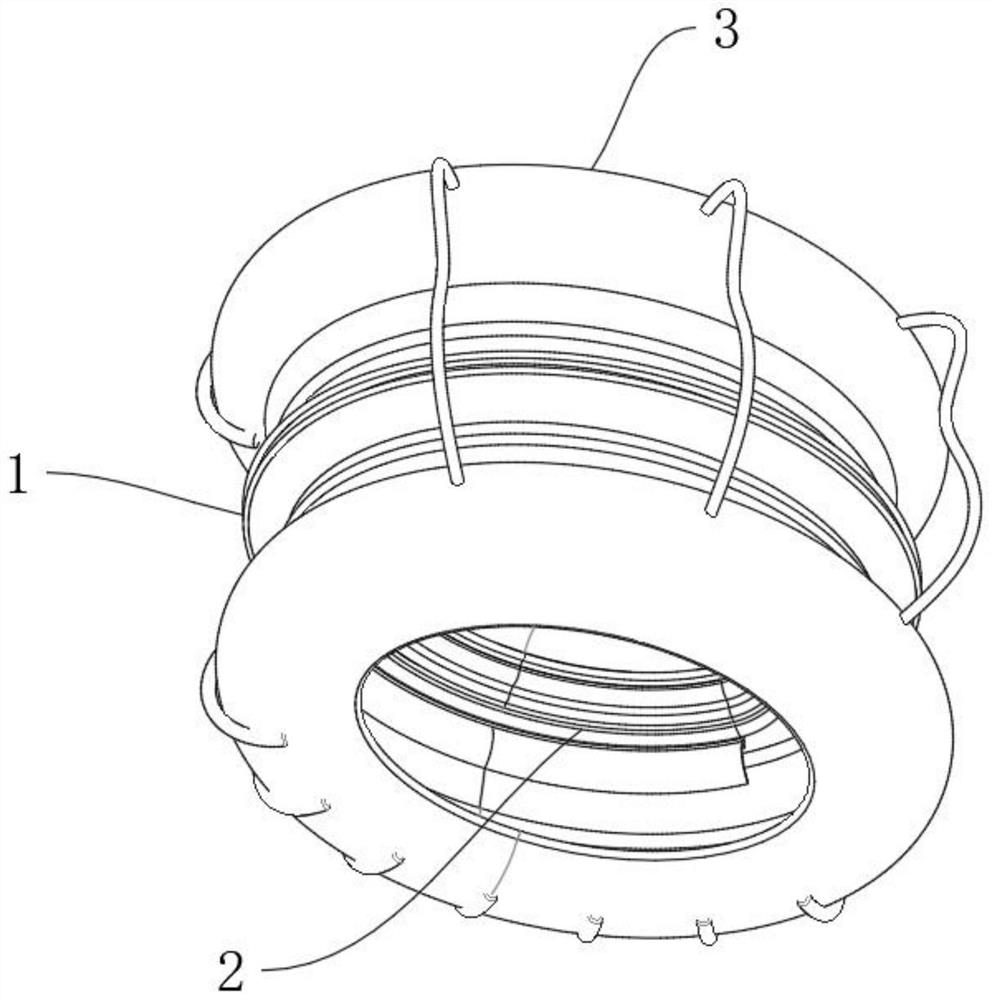 Anti-radiation isolation device for ultrasonic examination