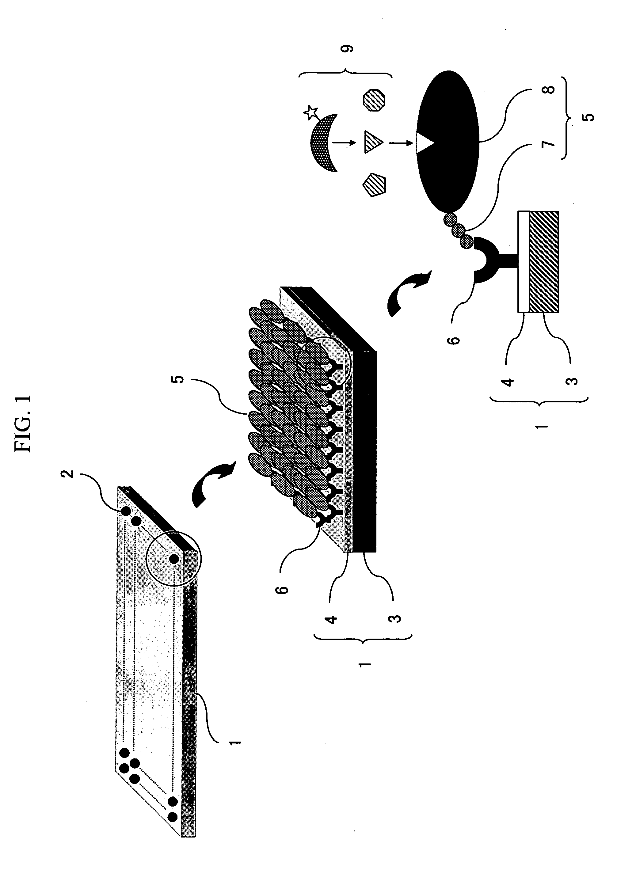 Anti-tag antibody chip for protein interaction analysis