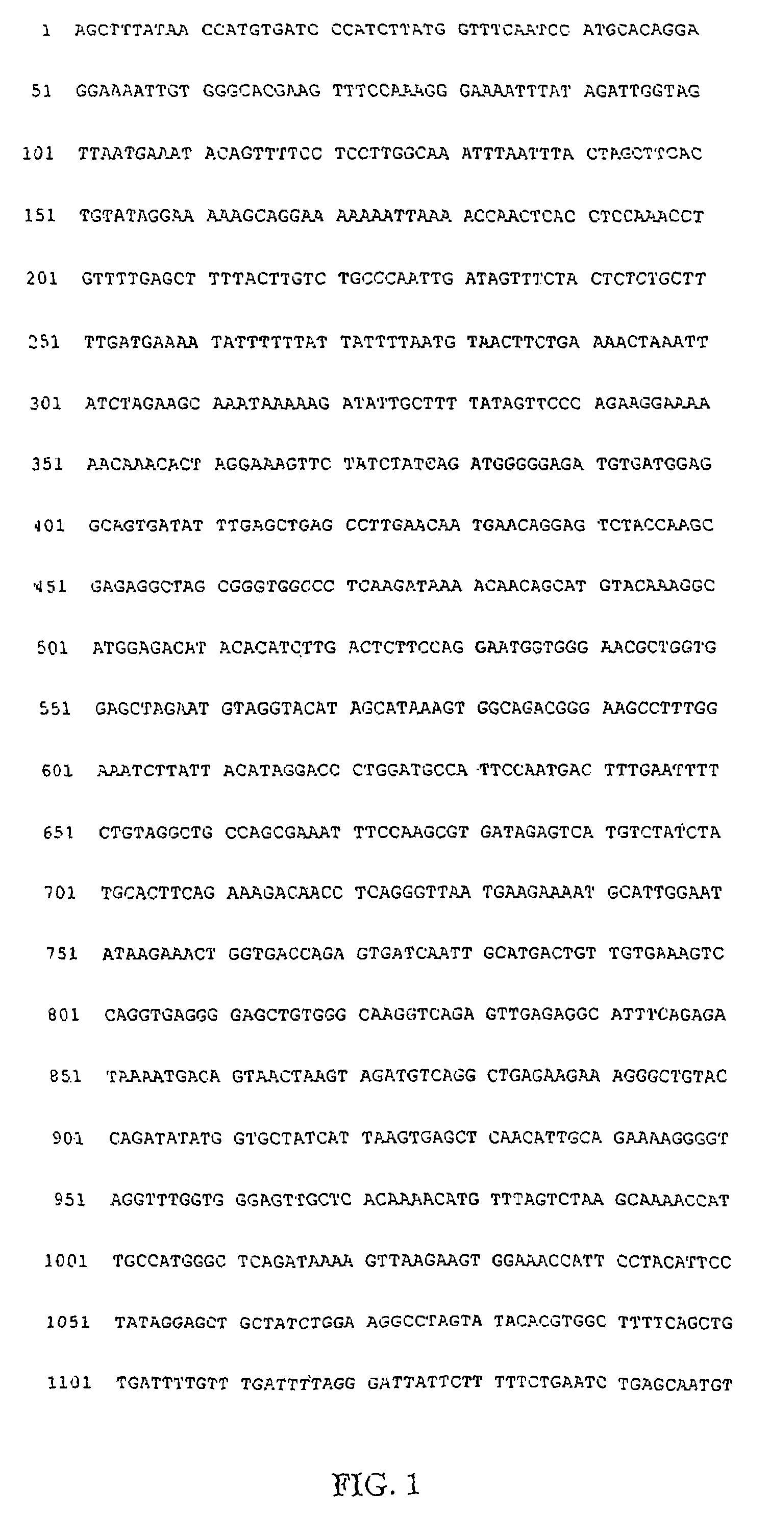 Gastrokines and derived peptides including inhibitors