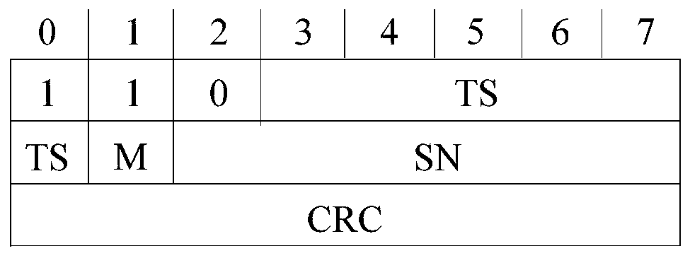 Voice packet loss processing method and device