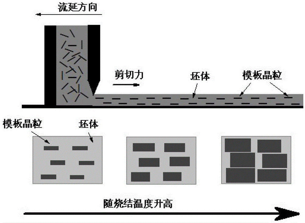 Two-layer textured vectolite-lead zirconate titanate multiferroic composite film material and preparation method thereof