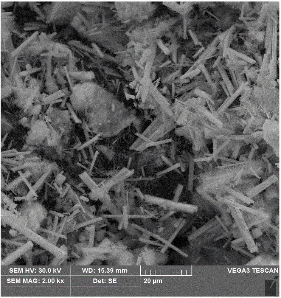 Two-layer textured vectolite-lead zirconate titanate multiferroic composite film material and preparation method thereof