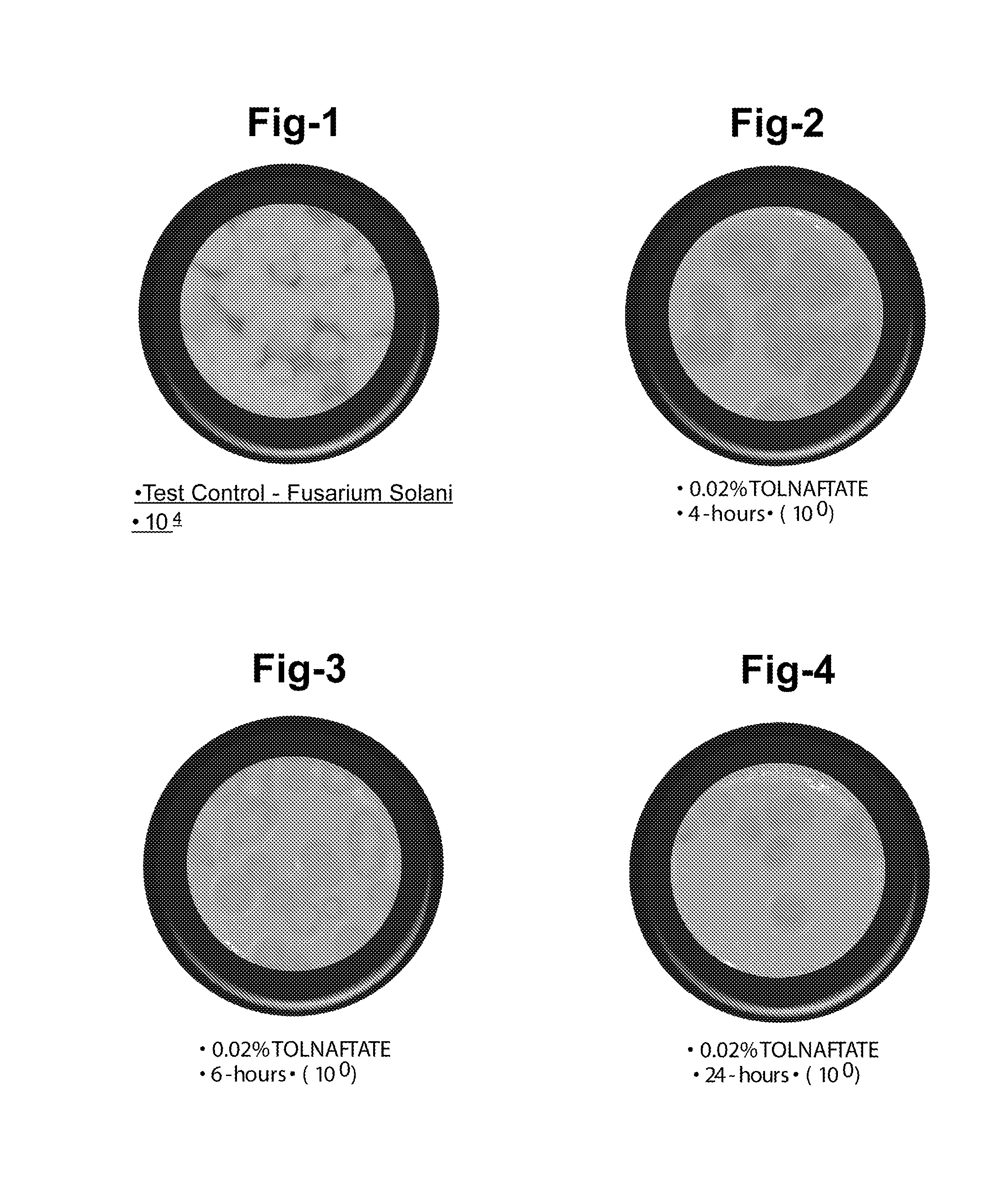 Ophthalmic and related aqueous solutions containing antifungal agents, uses therefor and methods for preparing them