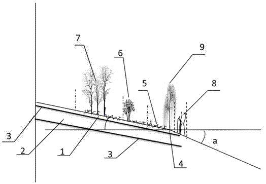 Method for constructing close-to-nature ecological bank