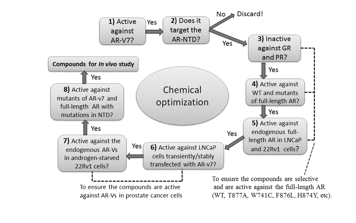 Urea and bis-urea based compounds and analogues thereof useful in the treatment of androgen receptor mediated diseases or disorders