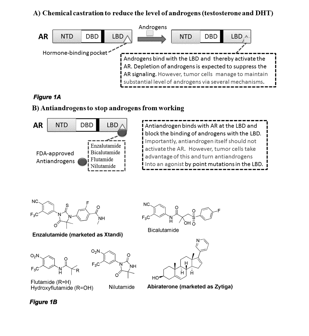 Urea and bis-urea based compounds and analogues thereof useful in the treatment of androgen receptor mediated diseases or disorders