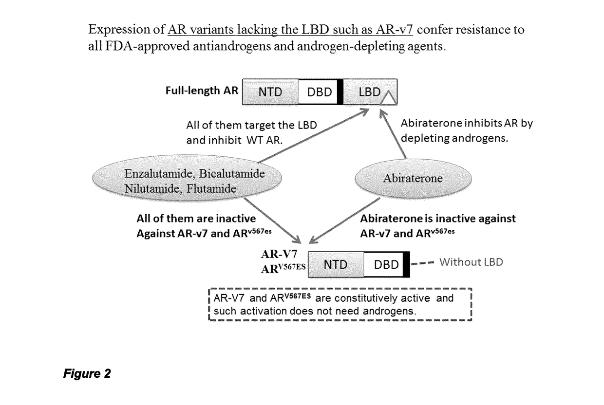 Urea and bis-urea based compounds and analogues thereof useful in the treatment of androgen receptor mediated diseases or disorders