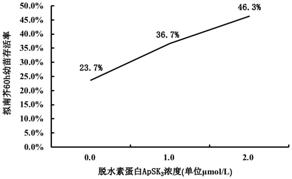 Agapanthus sk  <sub>3</sub> Application of dehydrin in reducing cell stress damage and improving cryopreservation effect